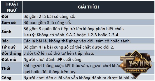 Một số thuật ngữ trong Tiến Lên Miền Nam và ba đôi thông