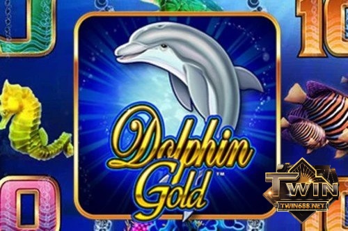 Cùng cfun68 tìm hiểu chi tiết về Dolphin Gold slot qua bài viết sau nhé