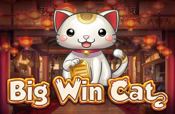 Big Win Cat: Game slot chủ đề mèo châu Á dễ thương